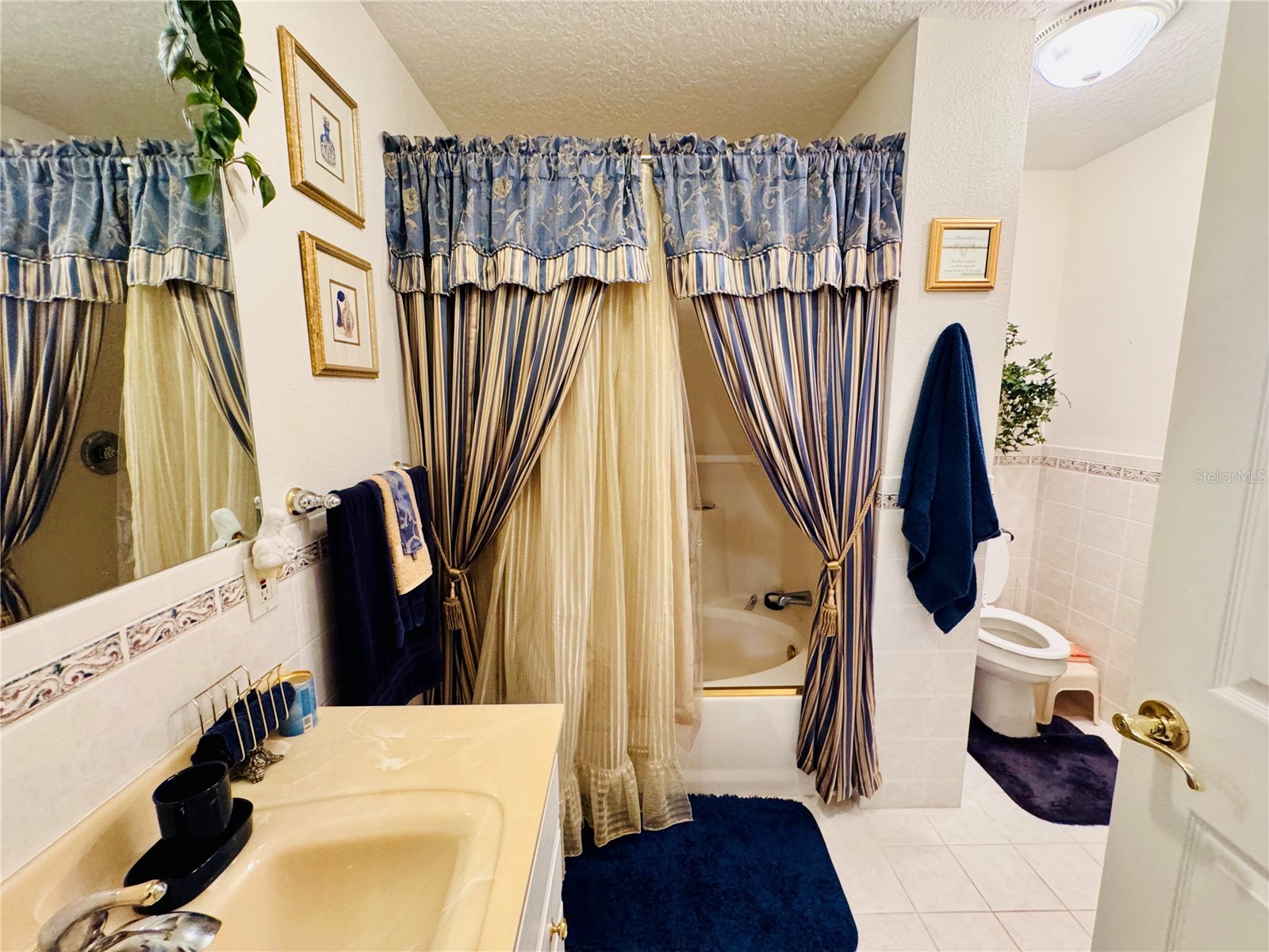 17725 Powerline Road Dade City FL 33523 OM714911 image22