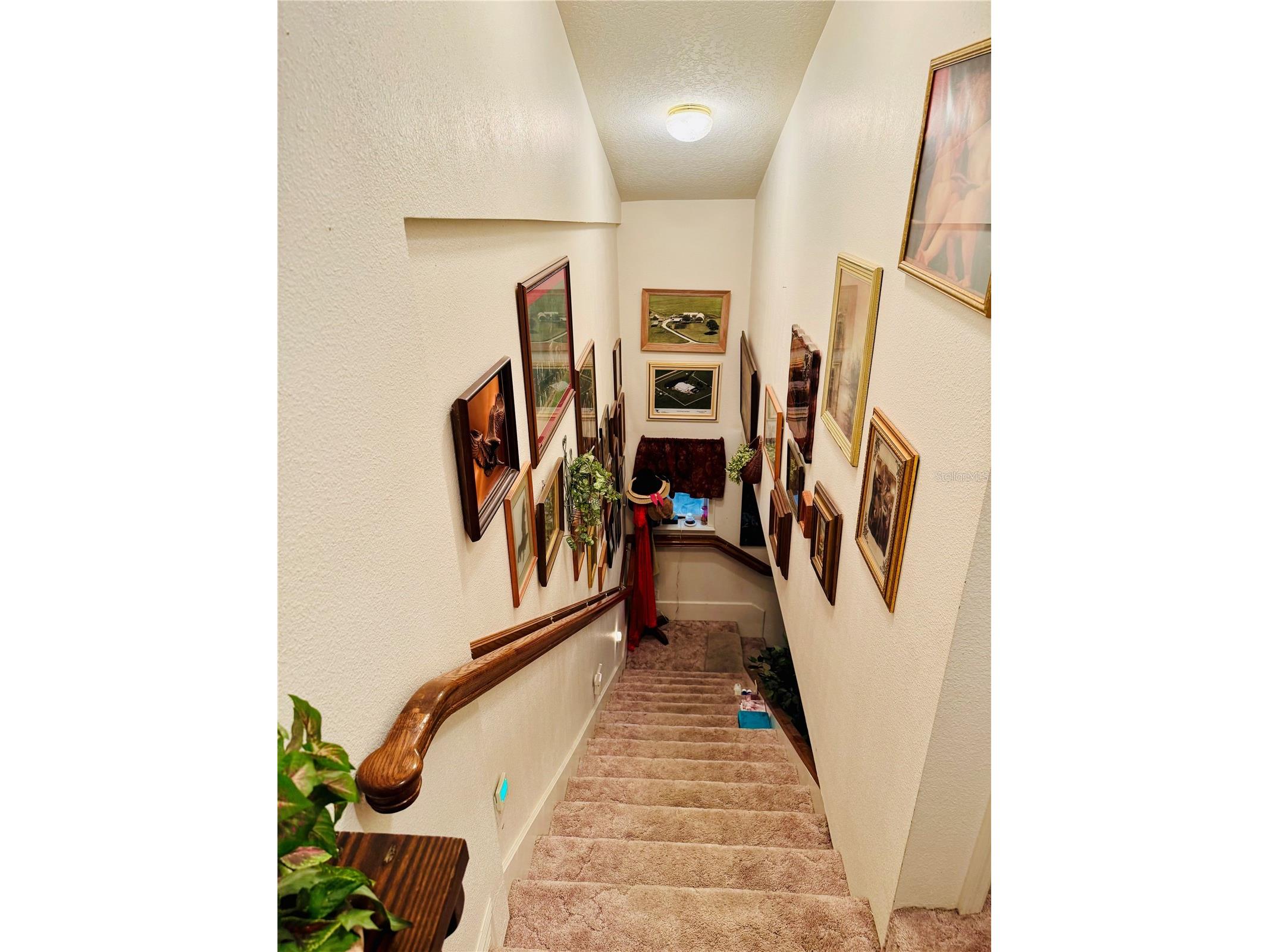 17725 Powerline Road Dade City FL 33523 OM714911 image24