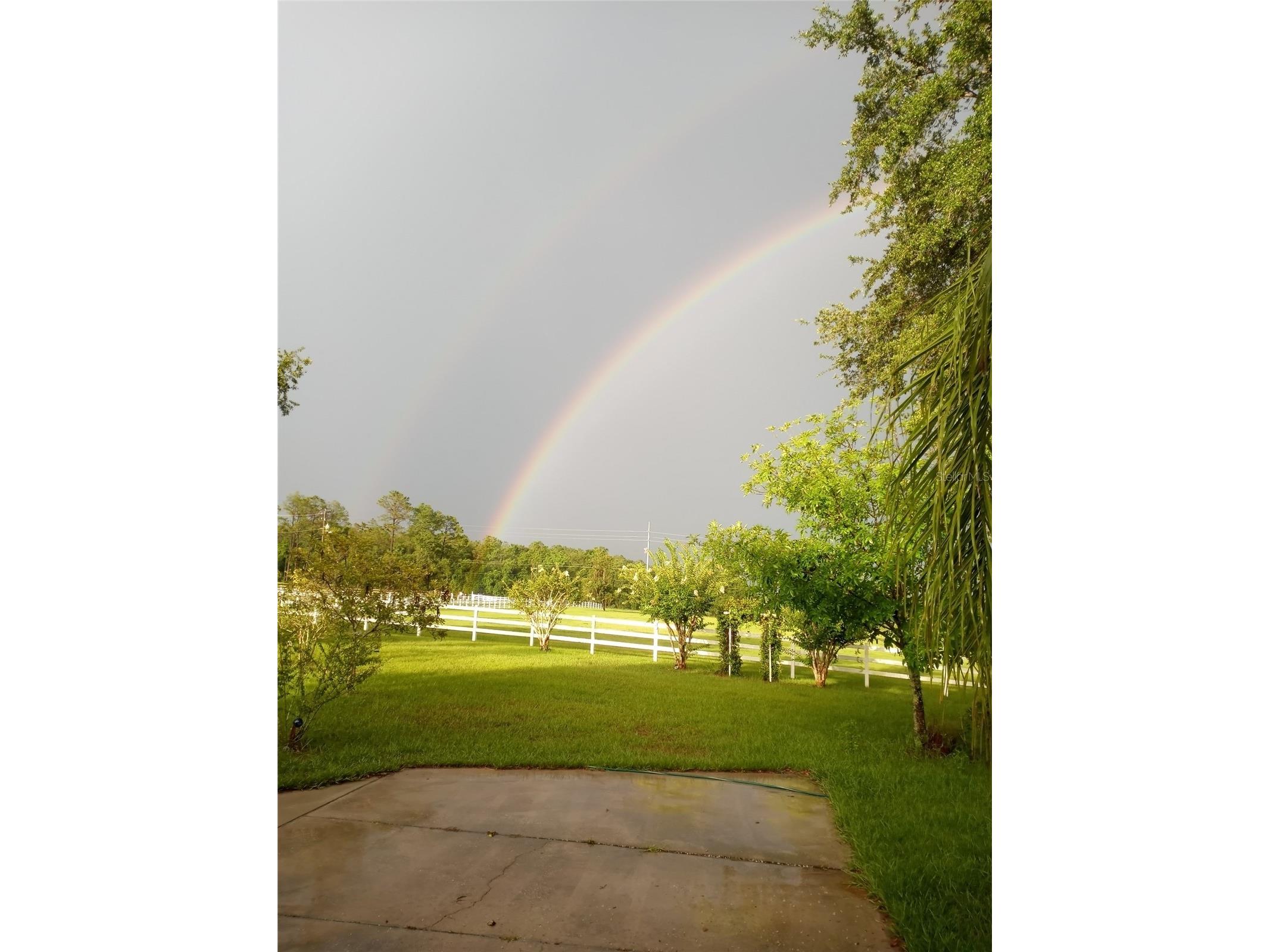 17725 Powerline Road Dade City FL 33523 OM714911 image29