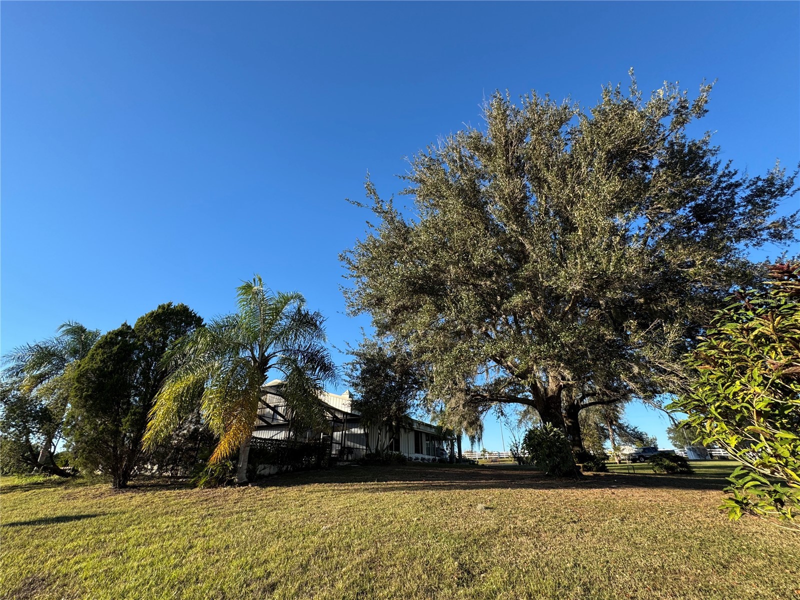 17725 Powerline Road Dade City FL 33523 OM714911 image31