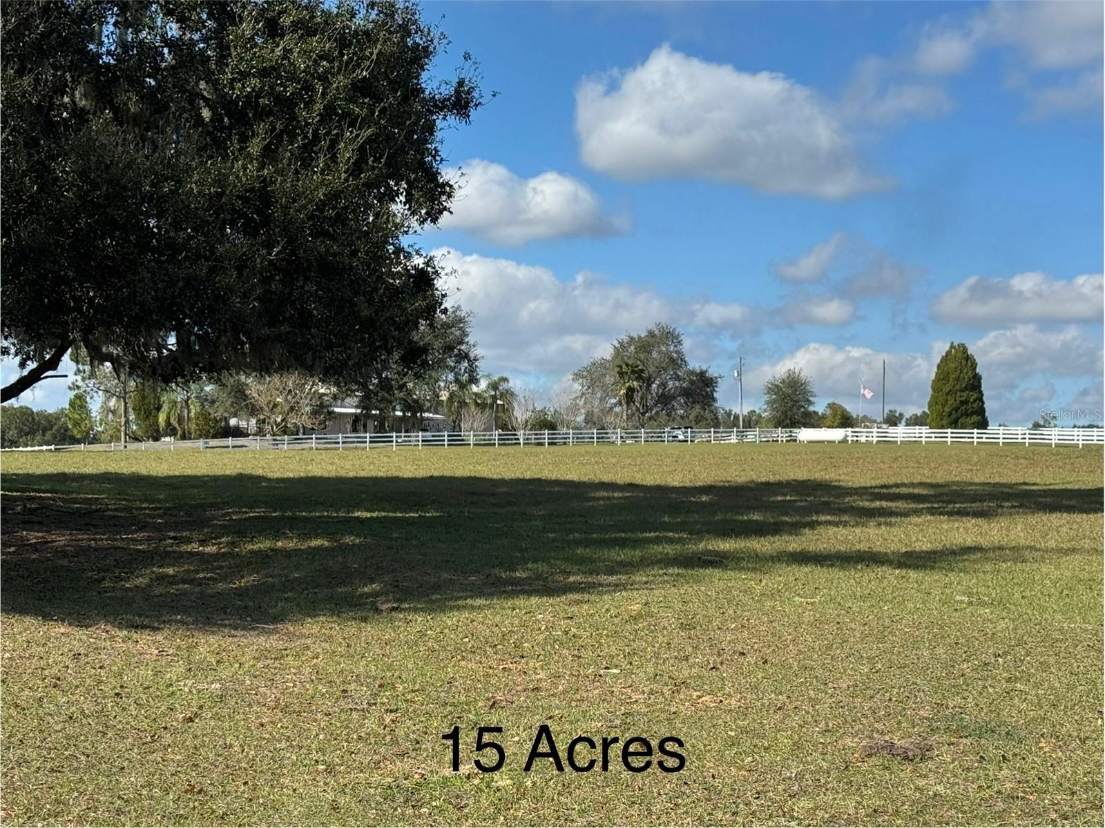 17725 Powerline Road Dade City FL 33523 OM714911 image4