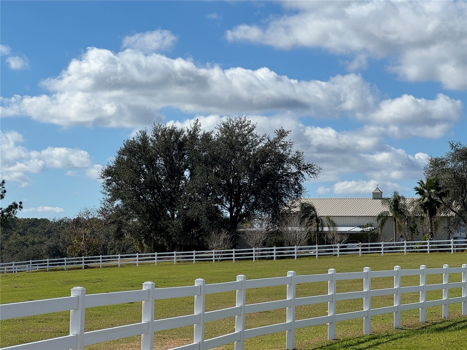 17725 Powerline Road Dade City FL 33523 OM714911 image5