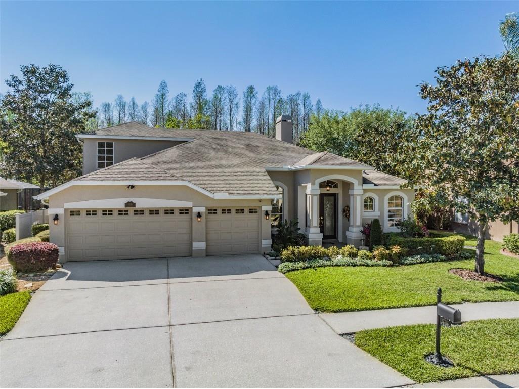 17728 Glenapp Drive Land O Lakes FL 34638 T3437787 image1