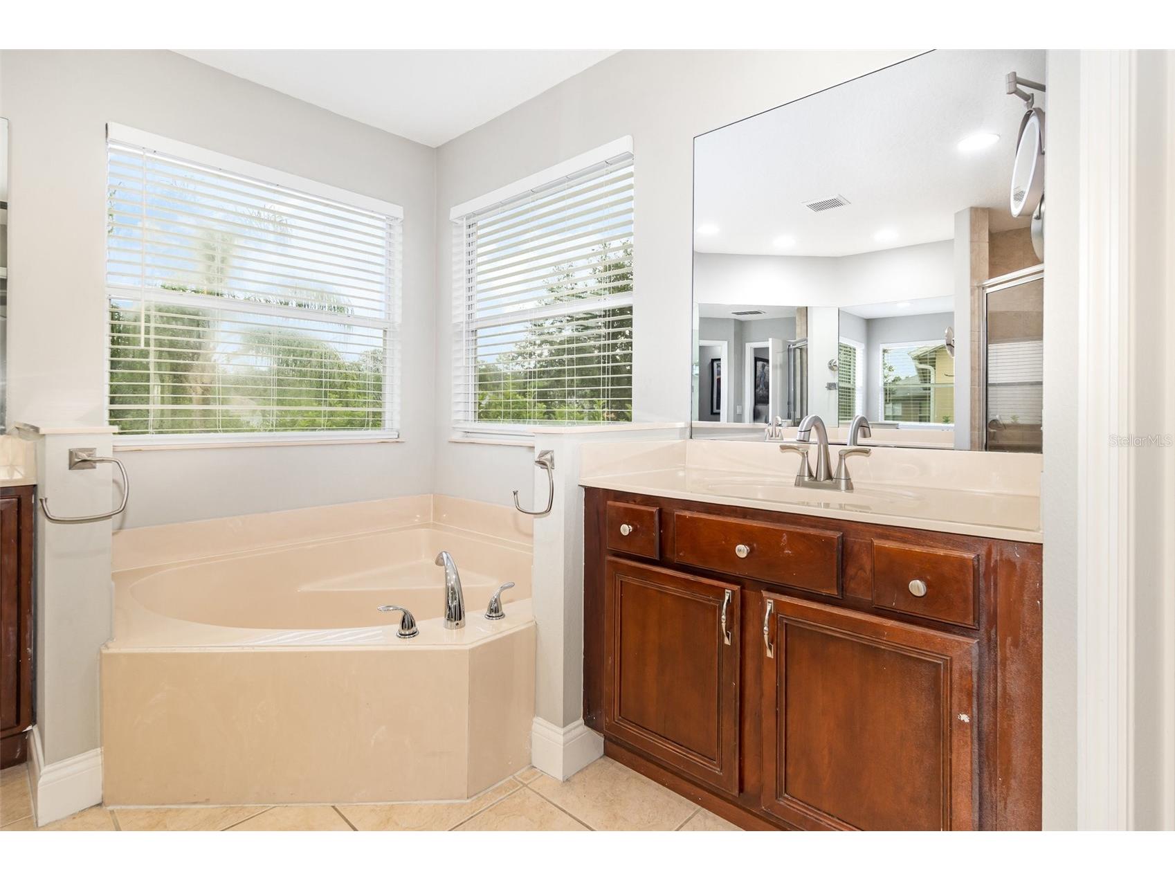 1773 Oak Grove Chase Drive Orlando FL 32820 O6335507 image24