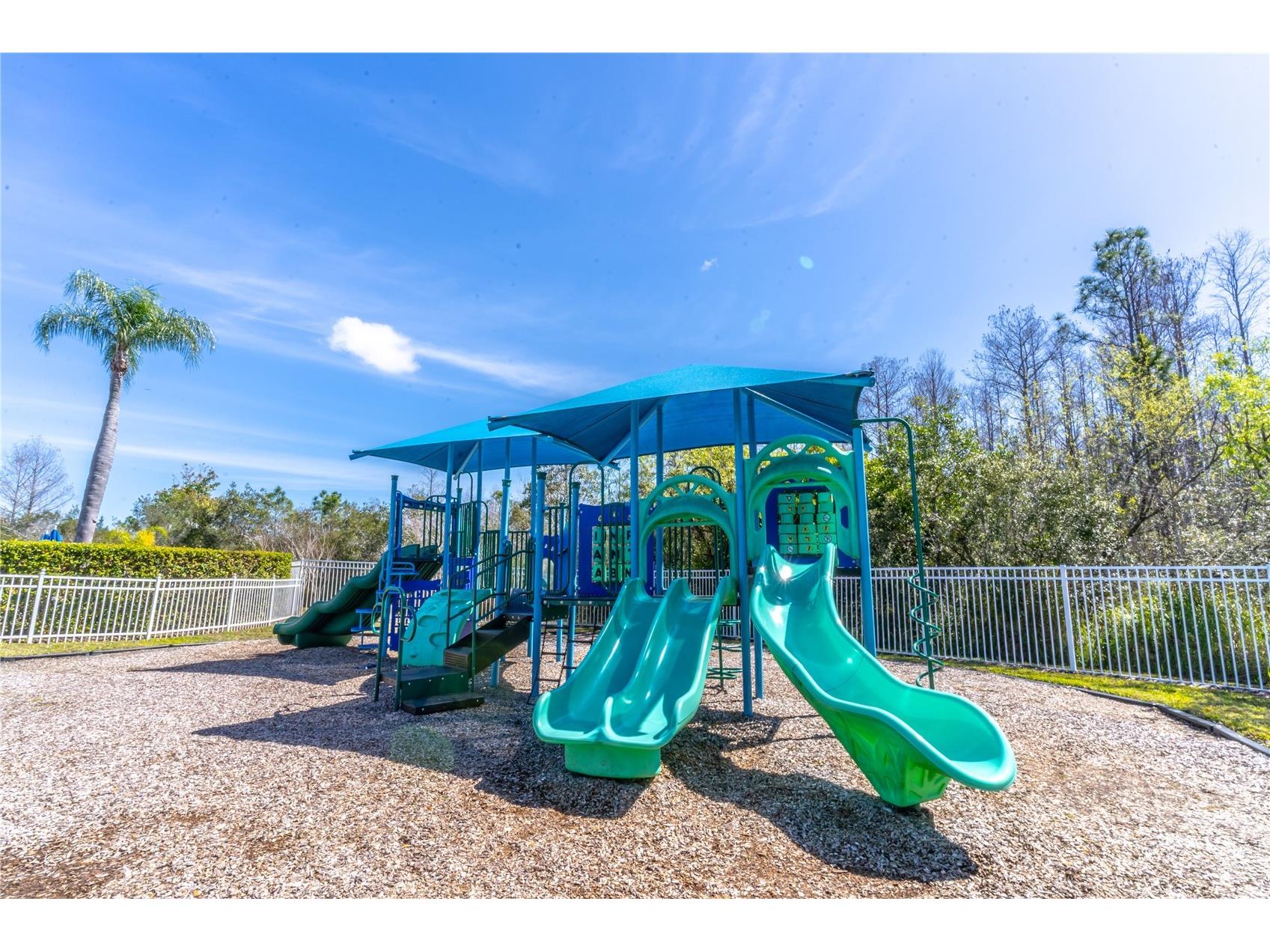 1773 Oak Grove Chase Drive Orlando FL 32820 O6335507 image47