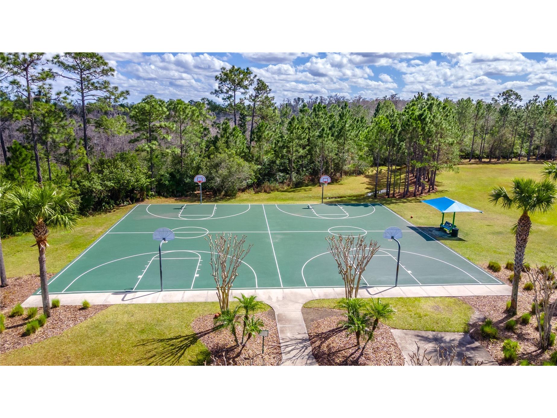 1773 Oak Grove Chase Drive Orlando FL 32820 O6335507 image56