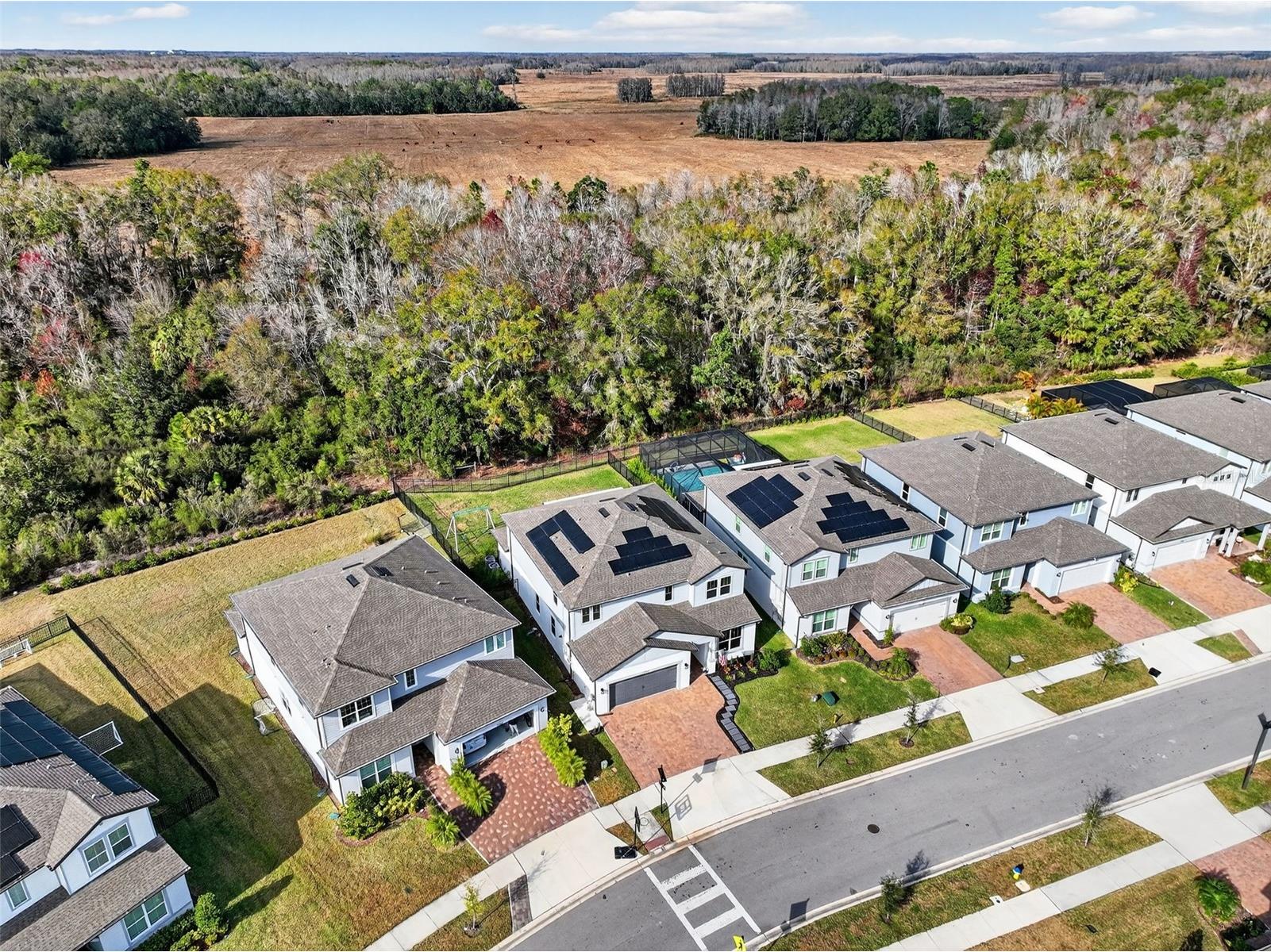 17731 Ramble On Way Land O Lakes FL 34638 TB8471508 image73