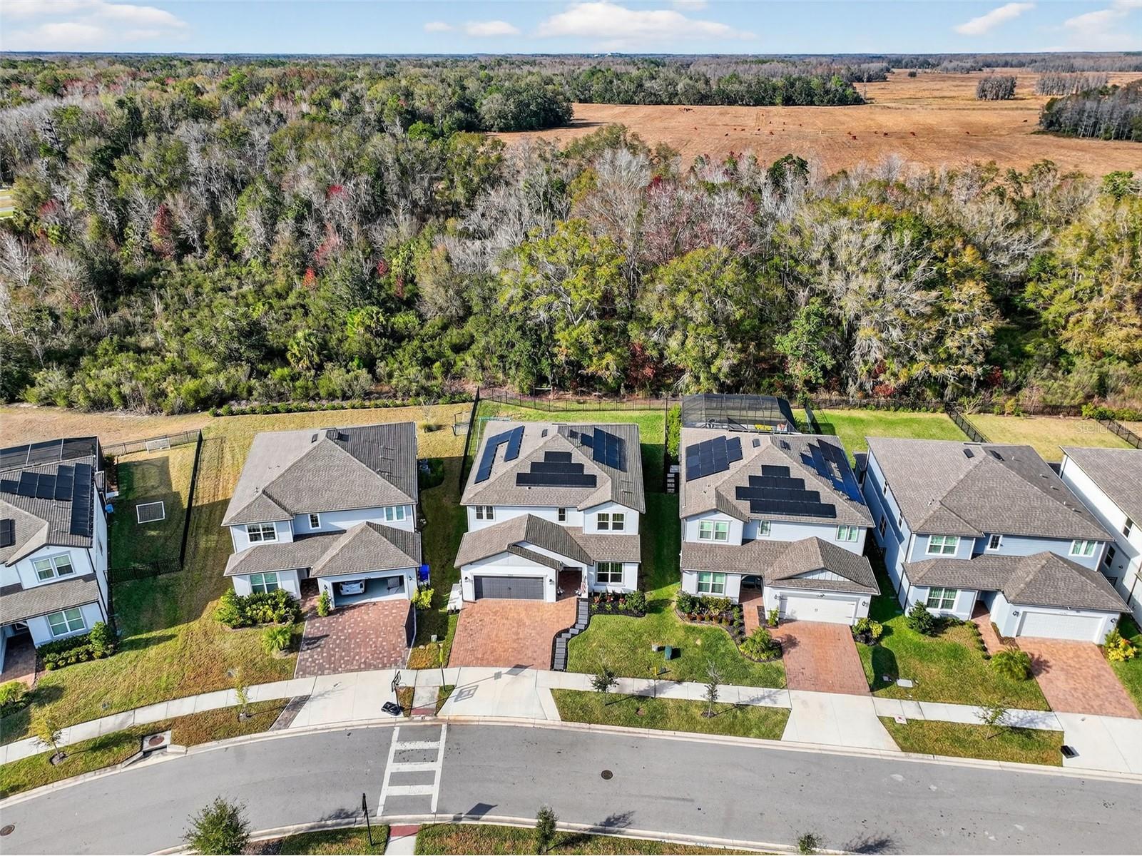 17731 Ramble On Way Land O Lakes FL 34638 TB8471508 image75