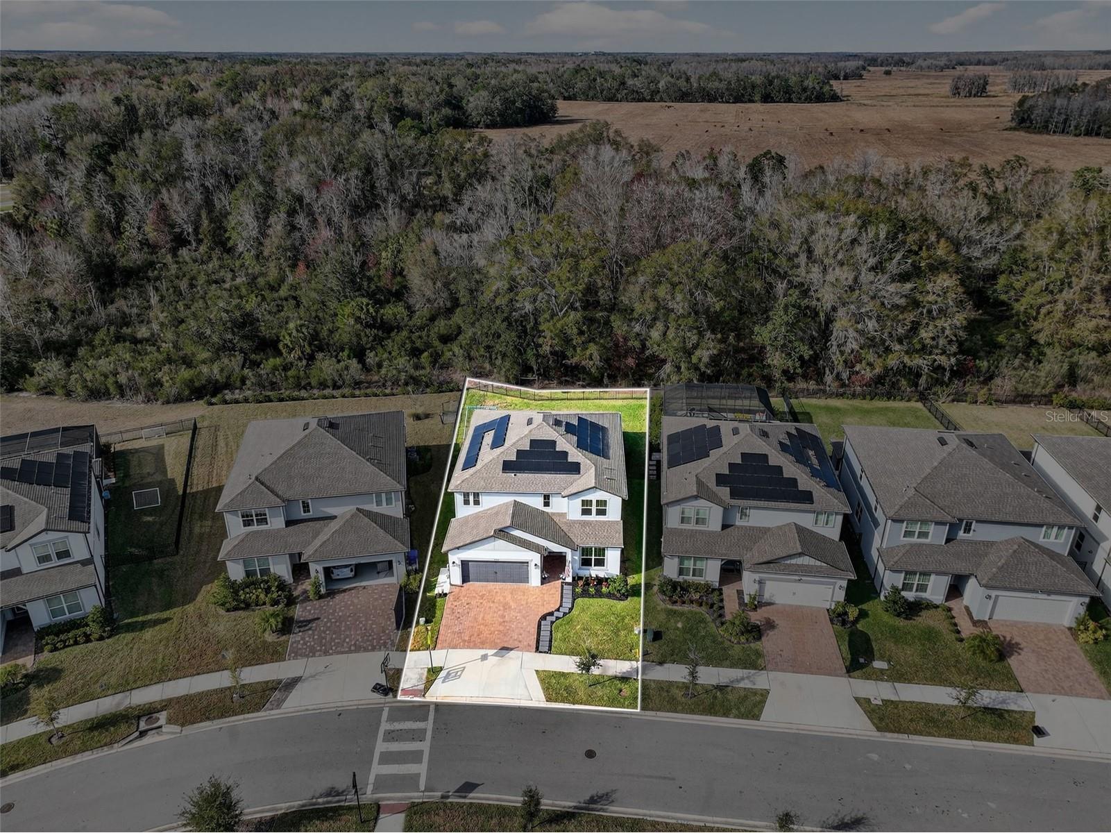 17731 Ramble On Way Land O Lakes FL 34638 TB8471508 image76