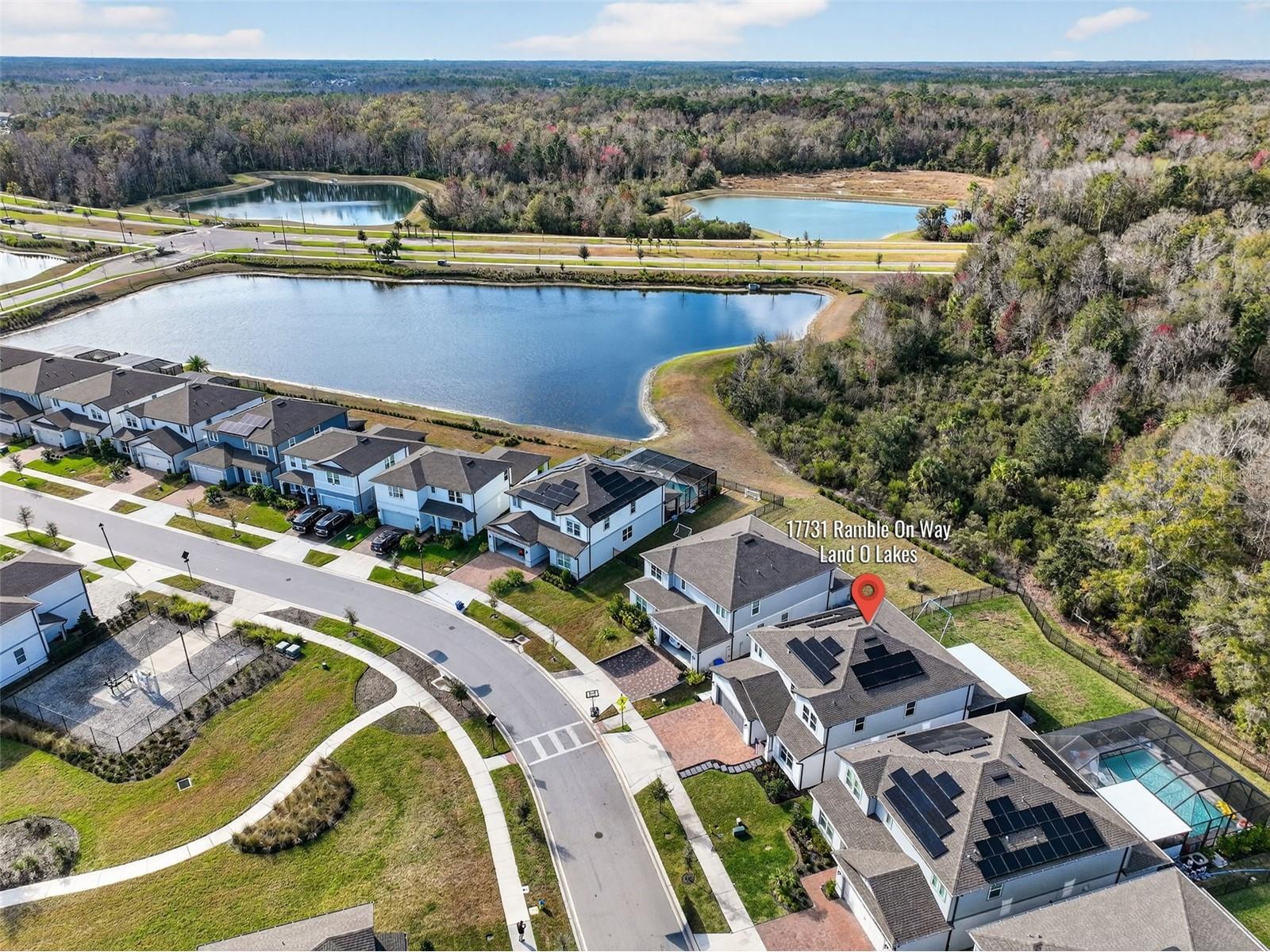 17731 Ramble On Way Land O Lakes FL 34638 TB8471508 image78