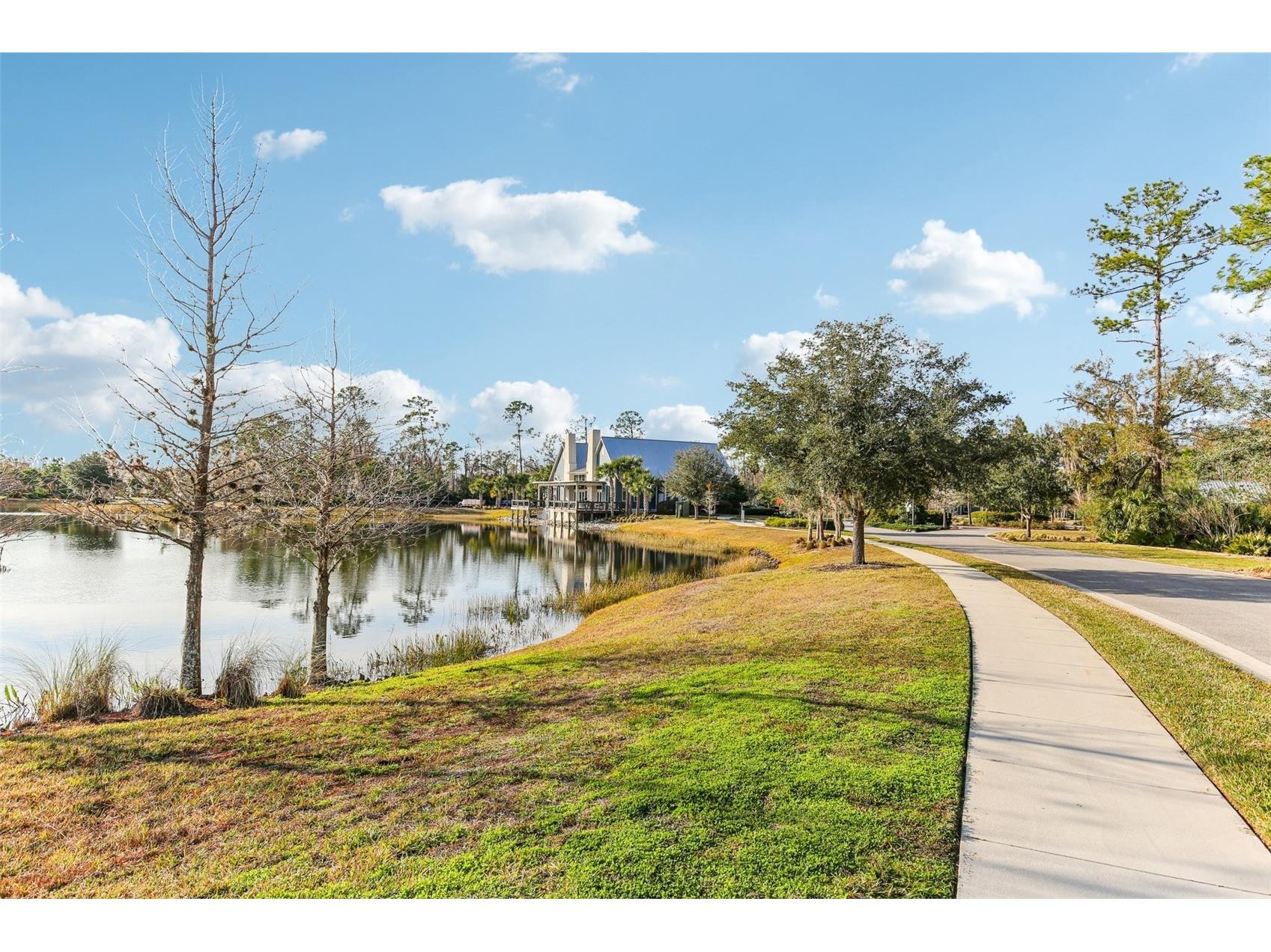 17731 Ramble On Way Land O Lakes FL 34638 TB8471508 image93