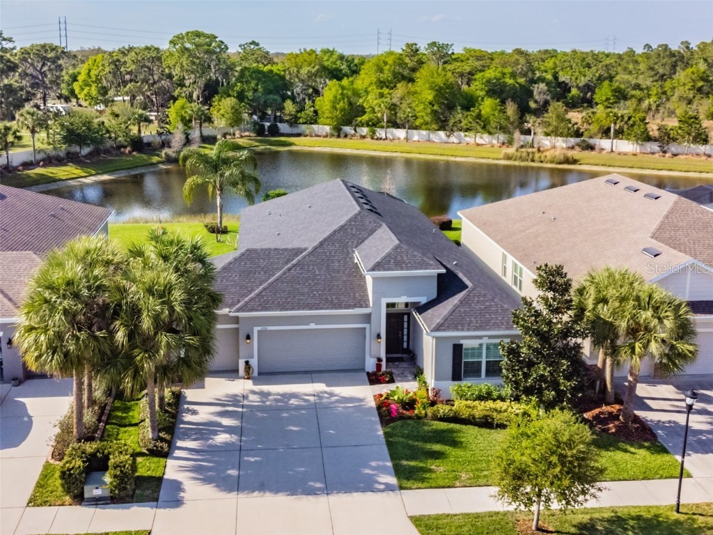 17733 Bright Wheat Drive Lithia FL 33547 T3362463 image1