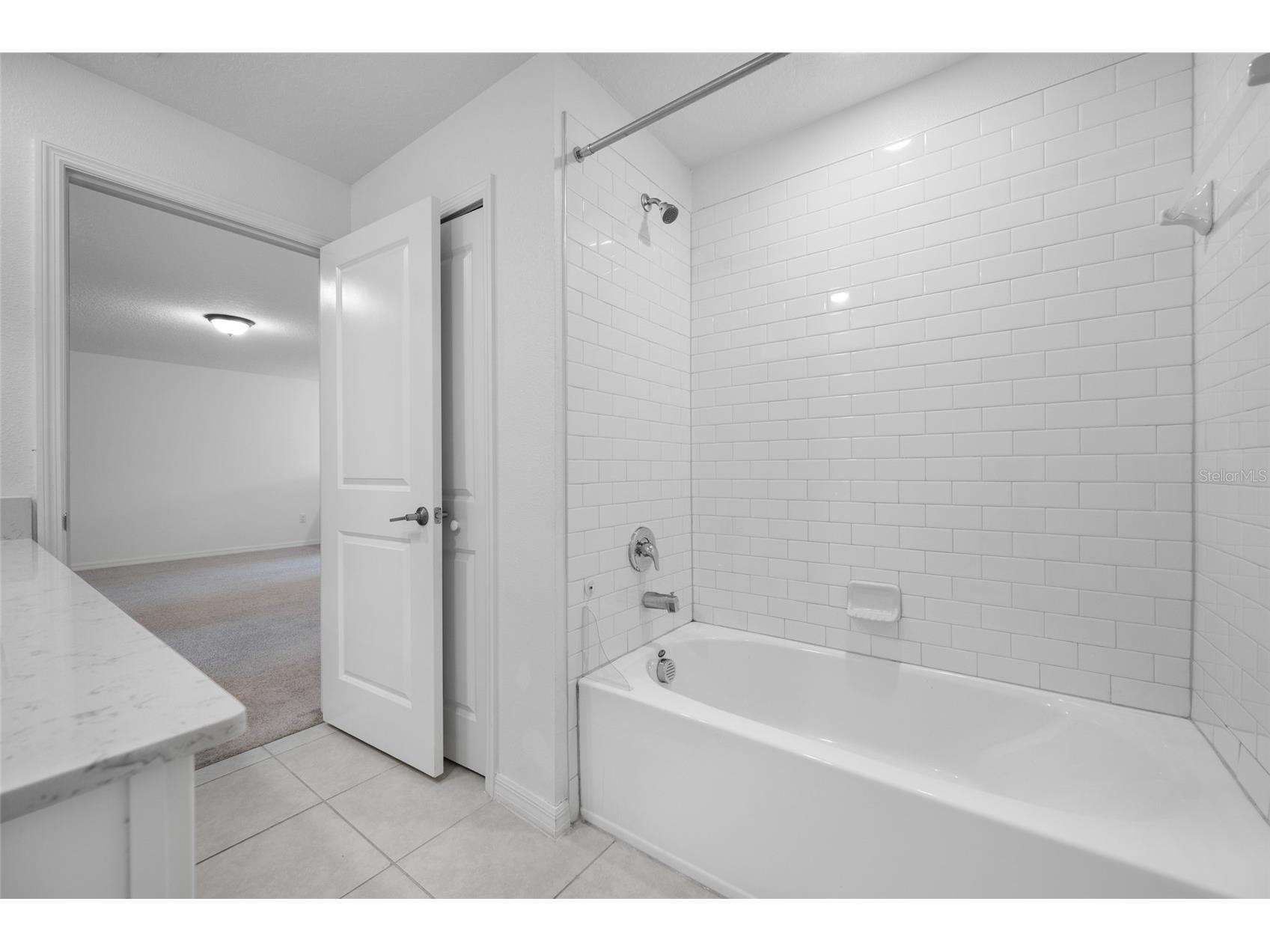 17734 Nectar Flume Drive Land O Lakes FL 34638 TB8487291 image22