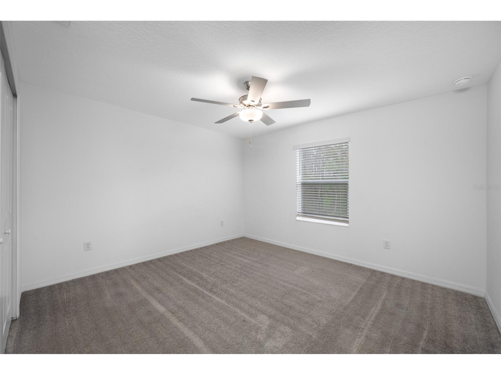 17734 Nectar Flume Drive Land O Lakes FL 34638 TB8487291 image23