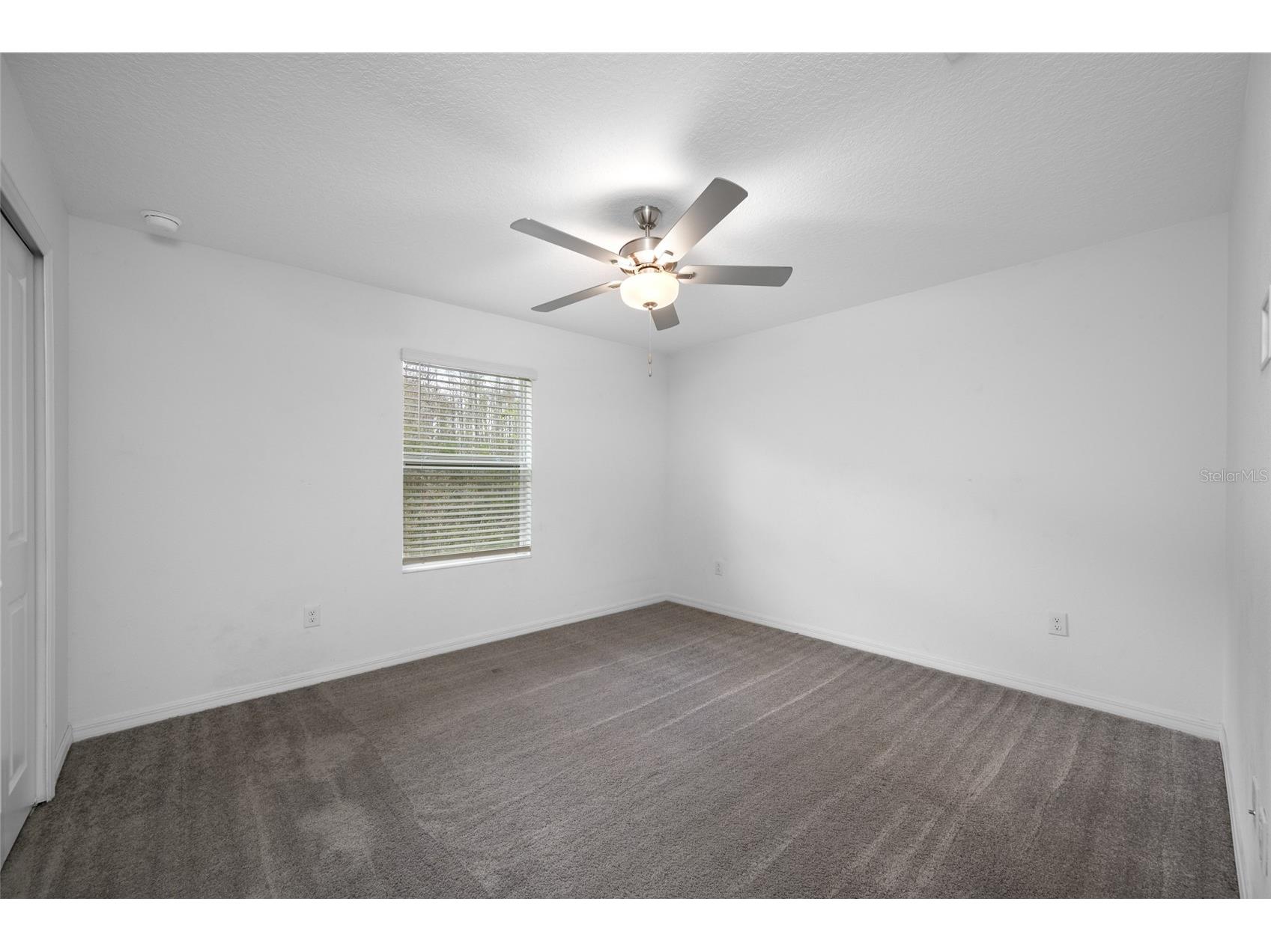 17734 Nectar Flume Drive Land O Lakes FL 34638 TB8487291 image26