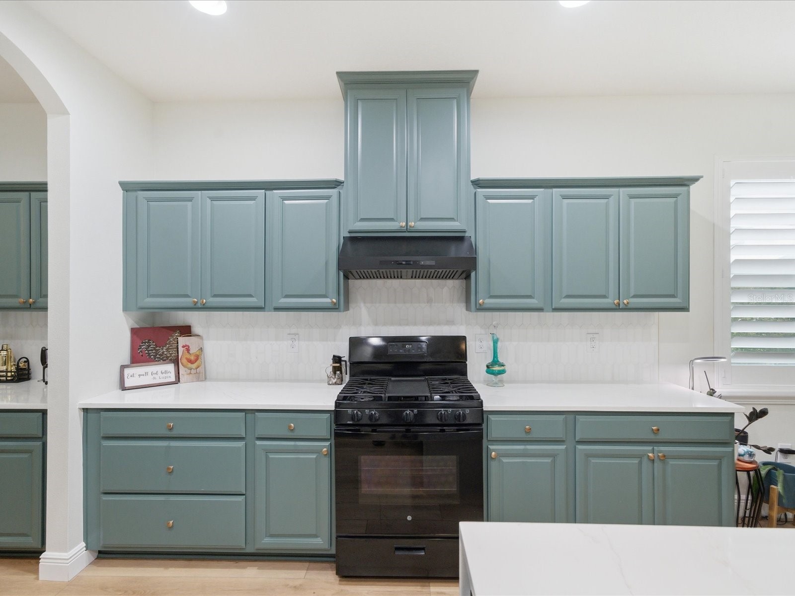 17735 Bright Wheat Drive Lithia FL 33547 TB8515710 image11