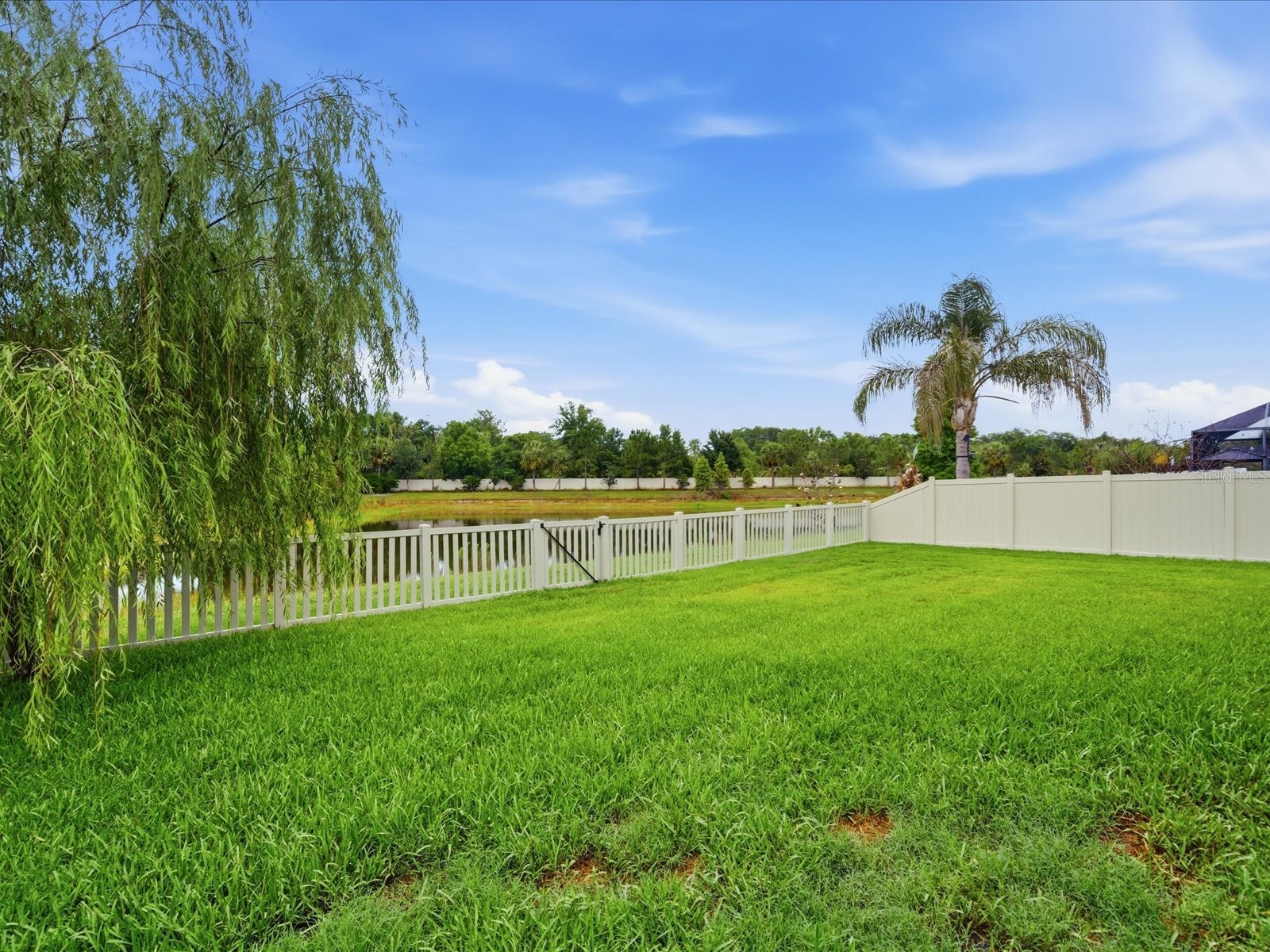 17735 Bright Wheat Drive Lithia FL 33547 TB8515710 image3