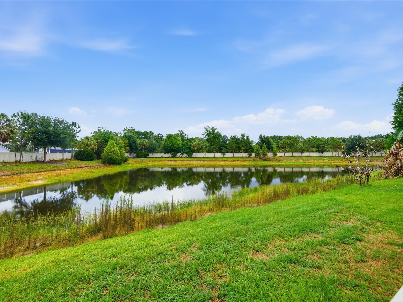 17735 Bright Wheat Drive Lithia FL 33547 TB8515710 image4