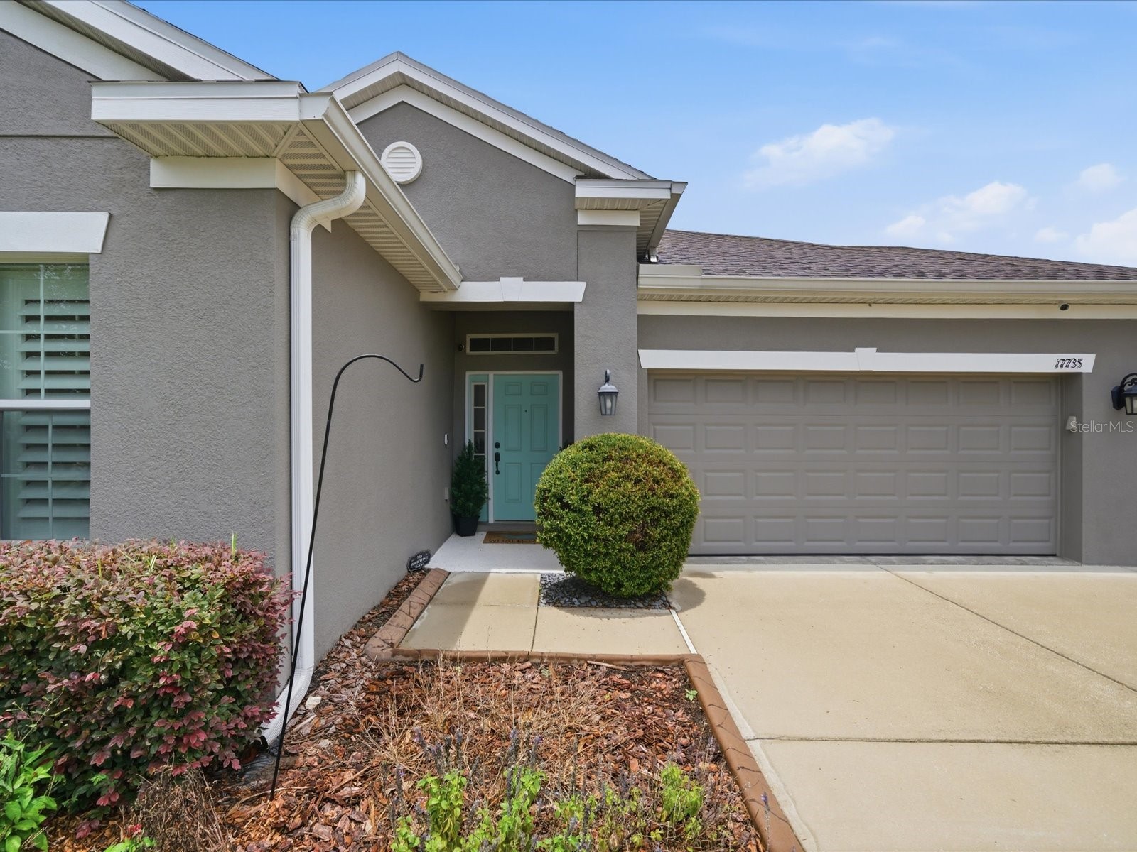 17735 Bright Wheat Drive Lithia FL 33547 TB8515710 image5