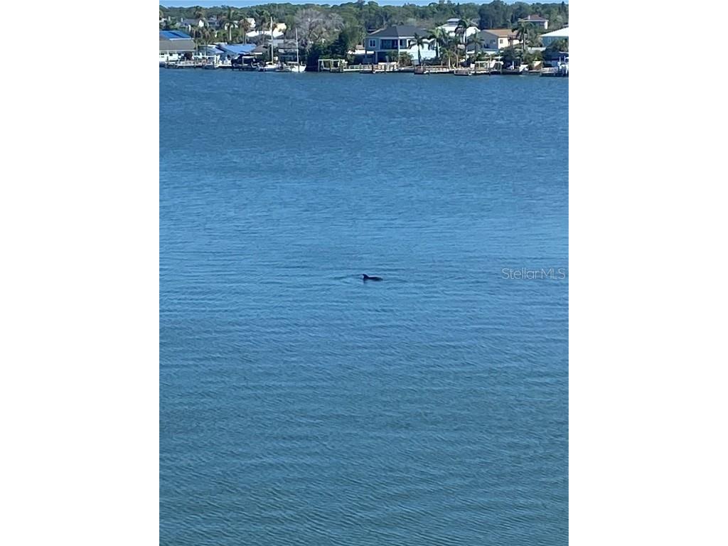 17735 Gulf Boulevard #405 Redington Shores FL 33708 TB8417488 image14