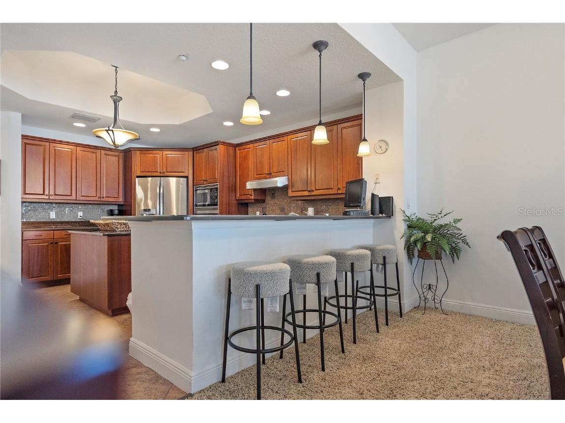 17735 Gulf Boulevard #405 Redington Shores FL 33708 TB8417488 image30