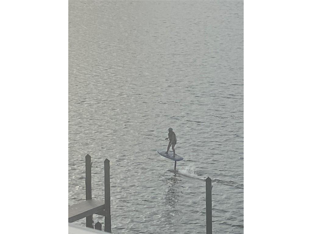 17735 Gulf Boulevard #405 Redington Shores FL 33708 TB8417488 image49