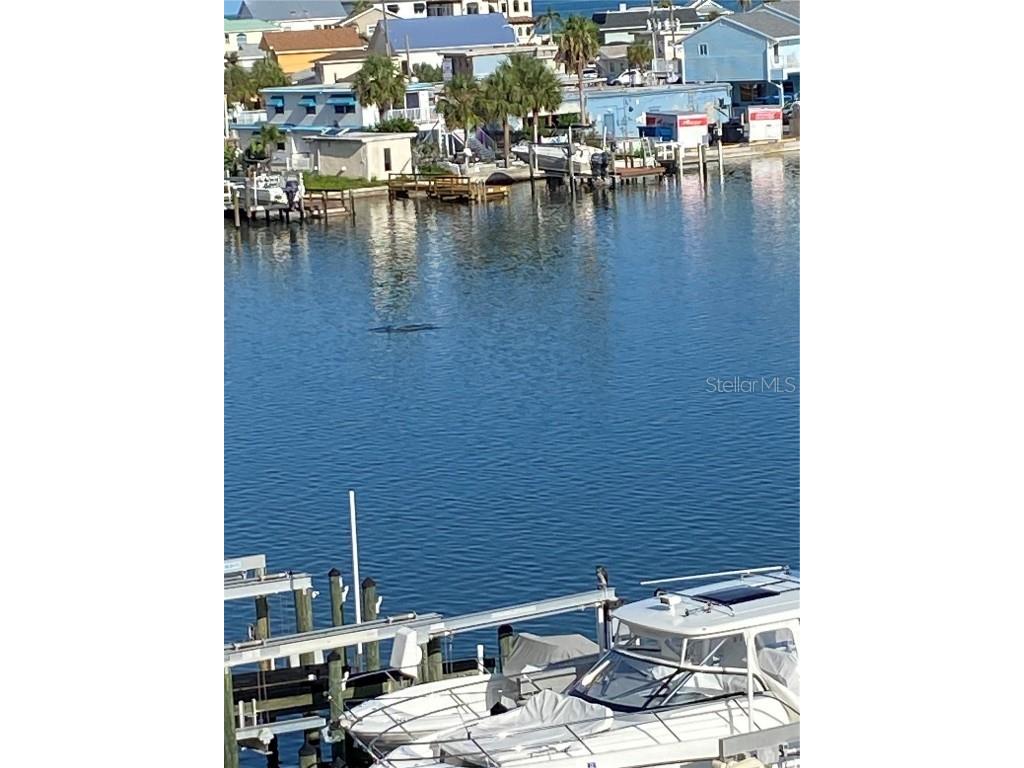 17735 Gulf Boulevard #405 Redington Shores FL 33708 TB8417488 image9