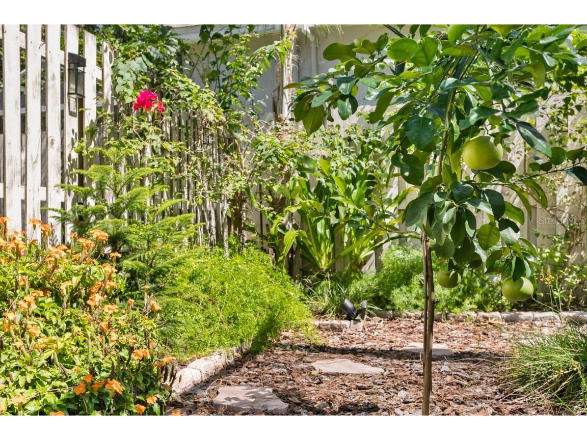 17736 Long Ridge Road Tampa FL 33647 TB8433114 image51