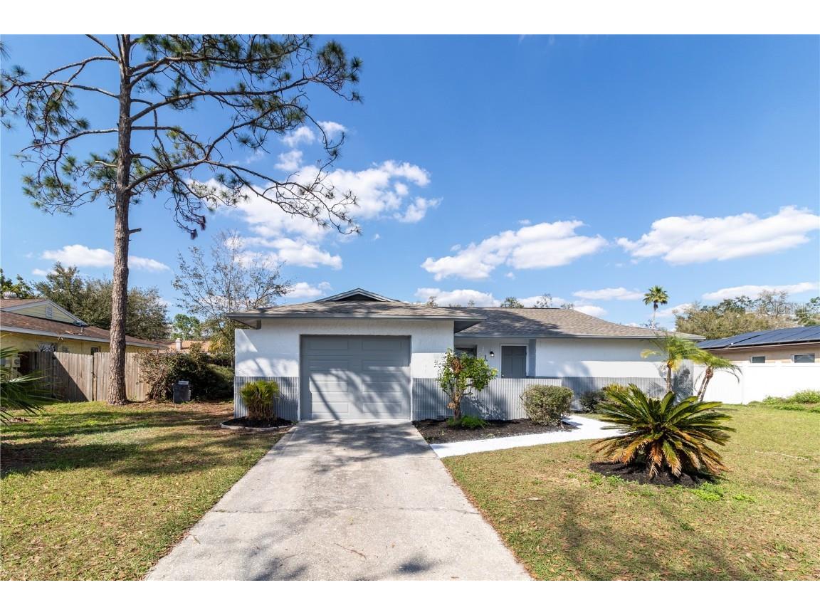 17736 Rivendel Road Lutz FL 33549 TB8355124 image1