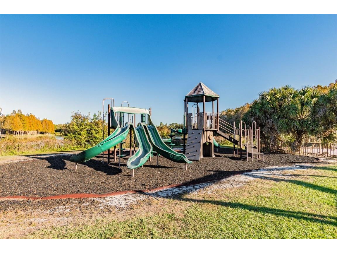 17737 Esprit Drive Tampa FL 33647 TB8452190 image100