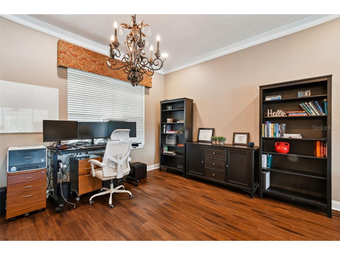 17737 Esprit Drive Tampa FL 33647 TB8452190 image11