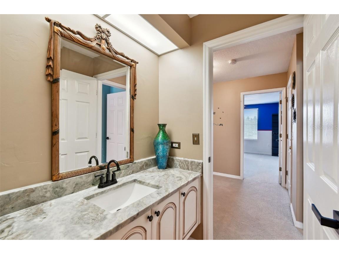 17737 Esprit Drive Tampa FL 33647 TB8452190 image37