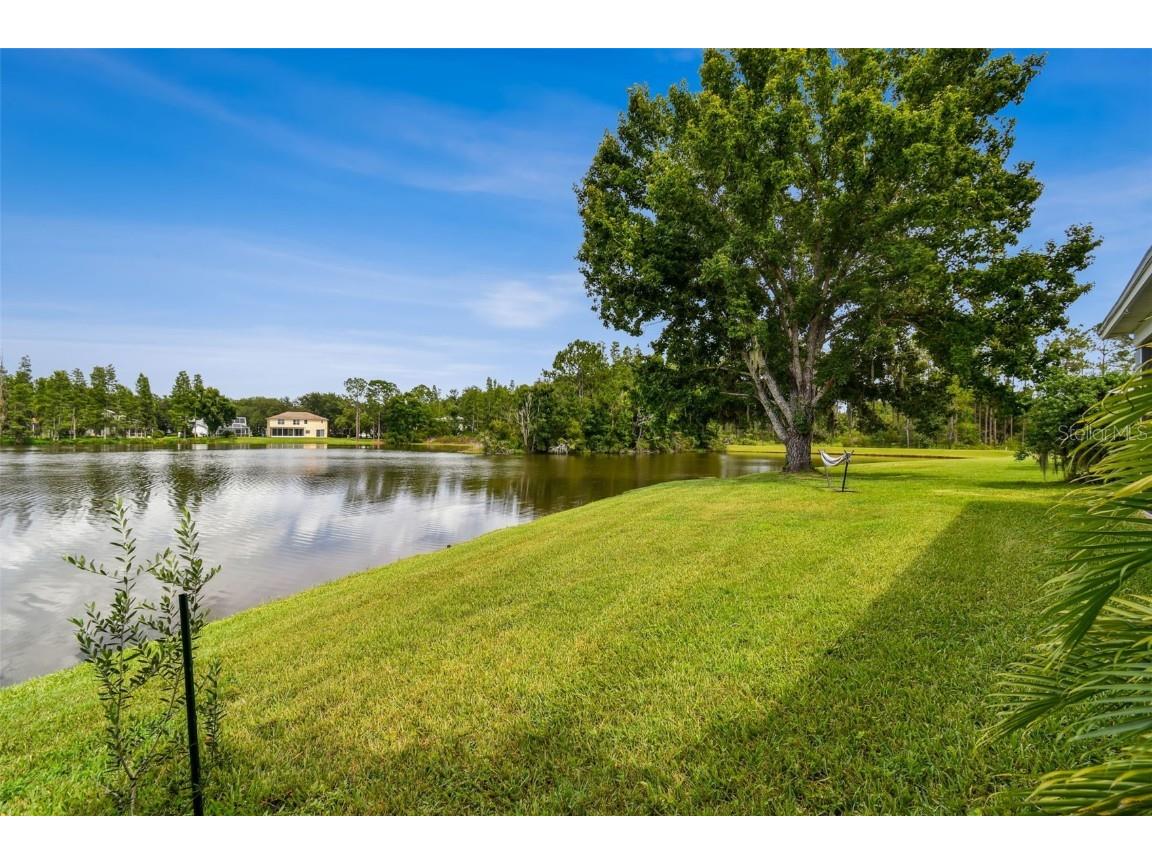 17737 Esprit Drive Tampa FL 33647 TB8452190 image67