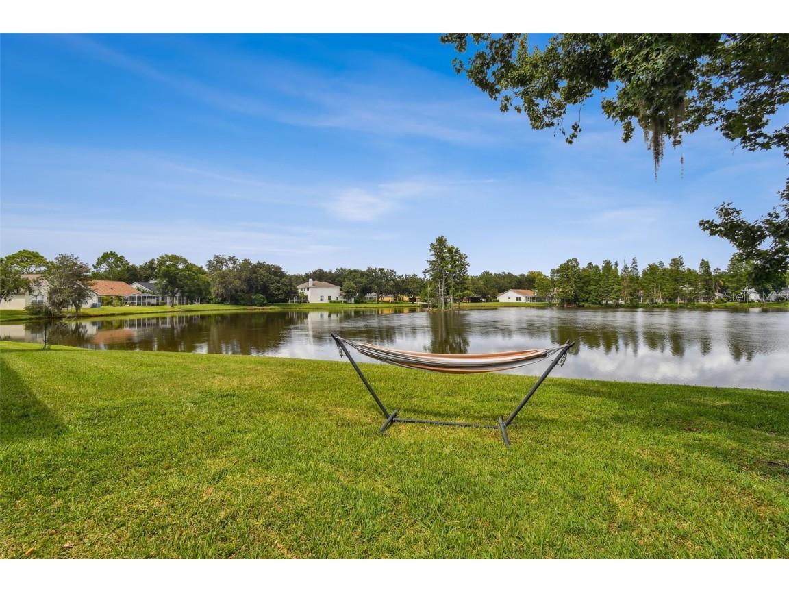 17737 Esprit Drive Tampa FL 33647 TB8452190 image68