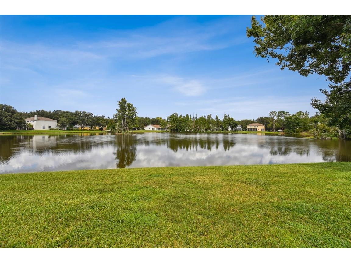 17737 Esprit Drive Tampa FL 33647 TB8452190 image69