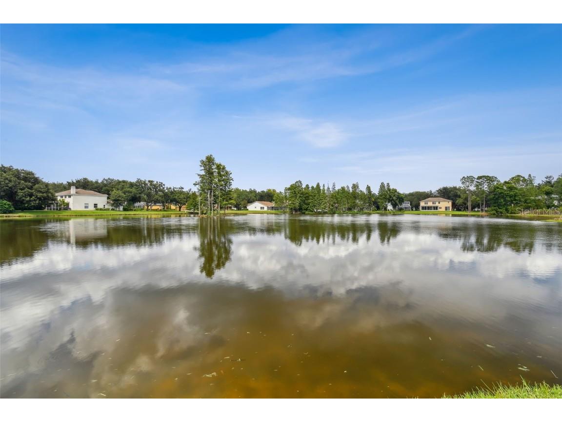 17737 Esprit Drive Tampa FL 33647 TB8452190 image70