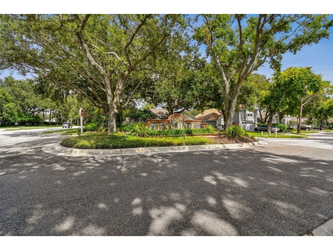 17737 Esprit Drive Tampa FL 33647 TB8452190 image71