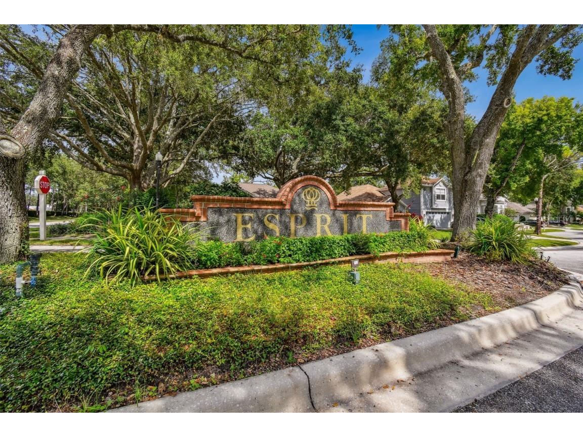 17737 Esprit Drive Tampa FL 33647 TB8452190 image72