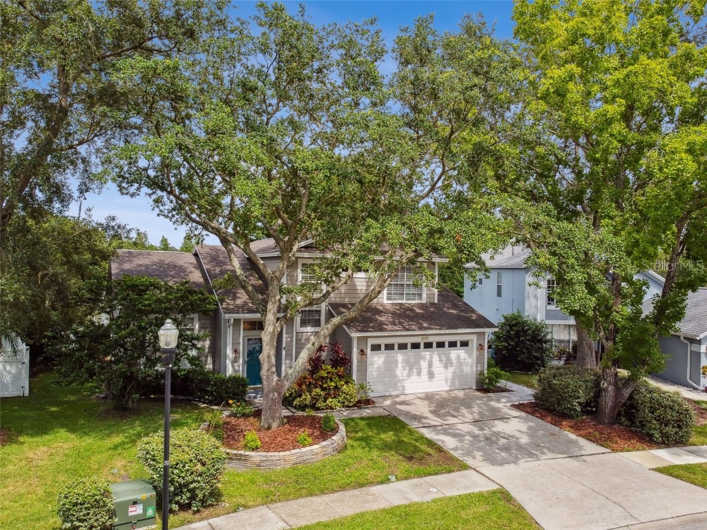 17737 Esprit Drive Tampa FL 33647 TB8452190 image77