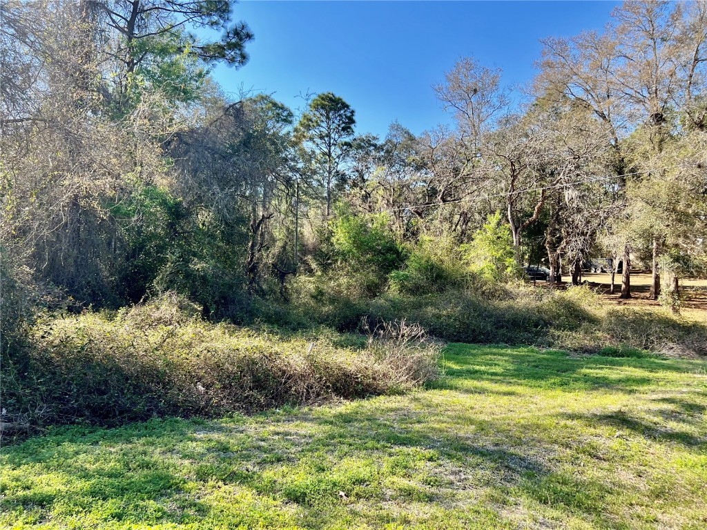 17739 Drayton Street Spring Hill FL 34610 U8192519 image1