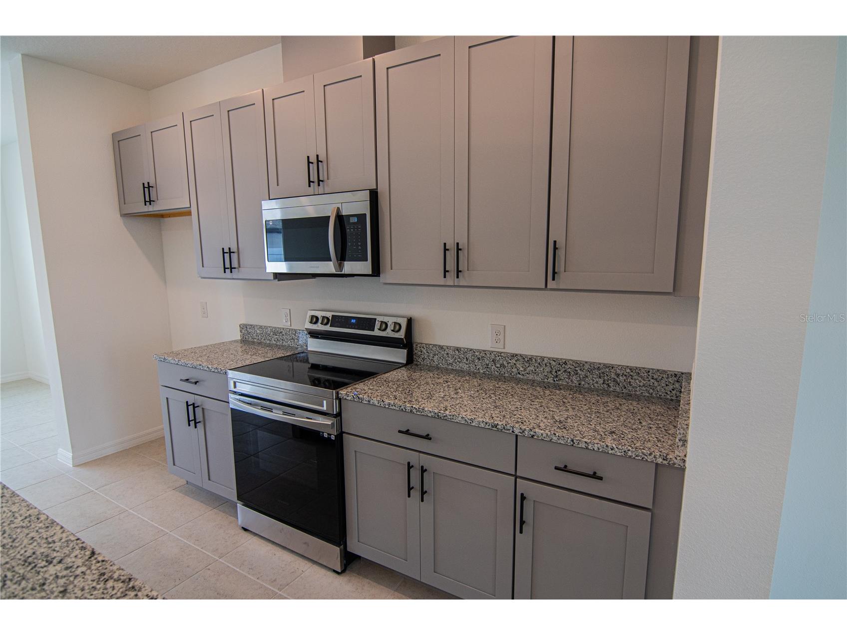 17741 Japonica Bloom Drive Winter Garden FL 34787 O6404413 image10