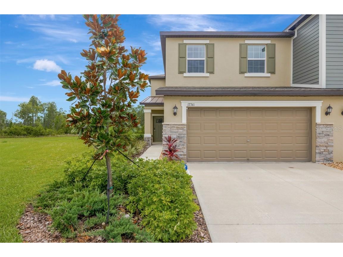 17741 Tawny Malt Place Land O Lakes FL 34638 TB8402565 image1