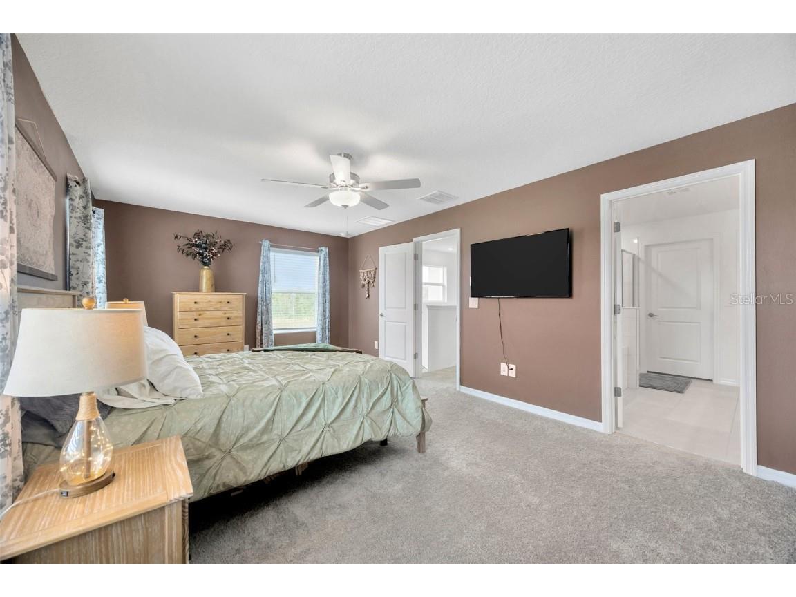 17741 Tawny Malt Place Land O Lakes FL 34638 TB8402565 image27