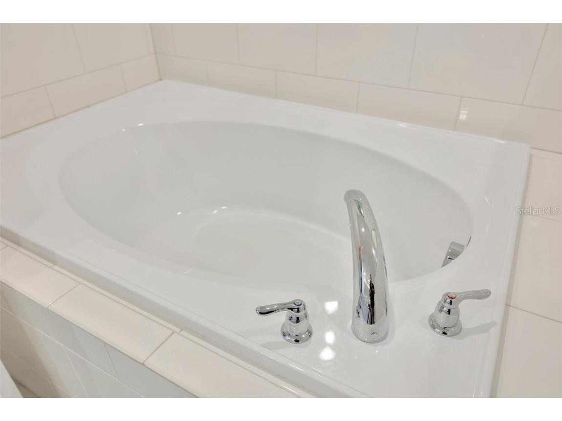 17741 Tawny Malt Place Land O Lakes FL 34638 TB8402565 image30