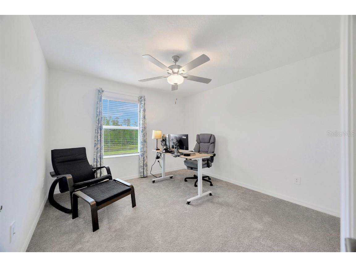 17741 Tawny Malt Place Land O Lakes FL 34638 TB8402565 image34