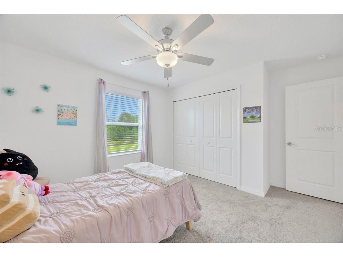 17741 Tawny Malt Place Land O Lakes FL 34638 TB8402565 image37