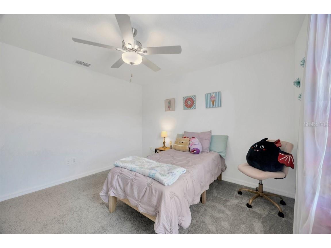 17741 Tawny Malt Place Land O Lakes FL 34638 TB8402565 image38