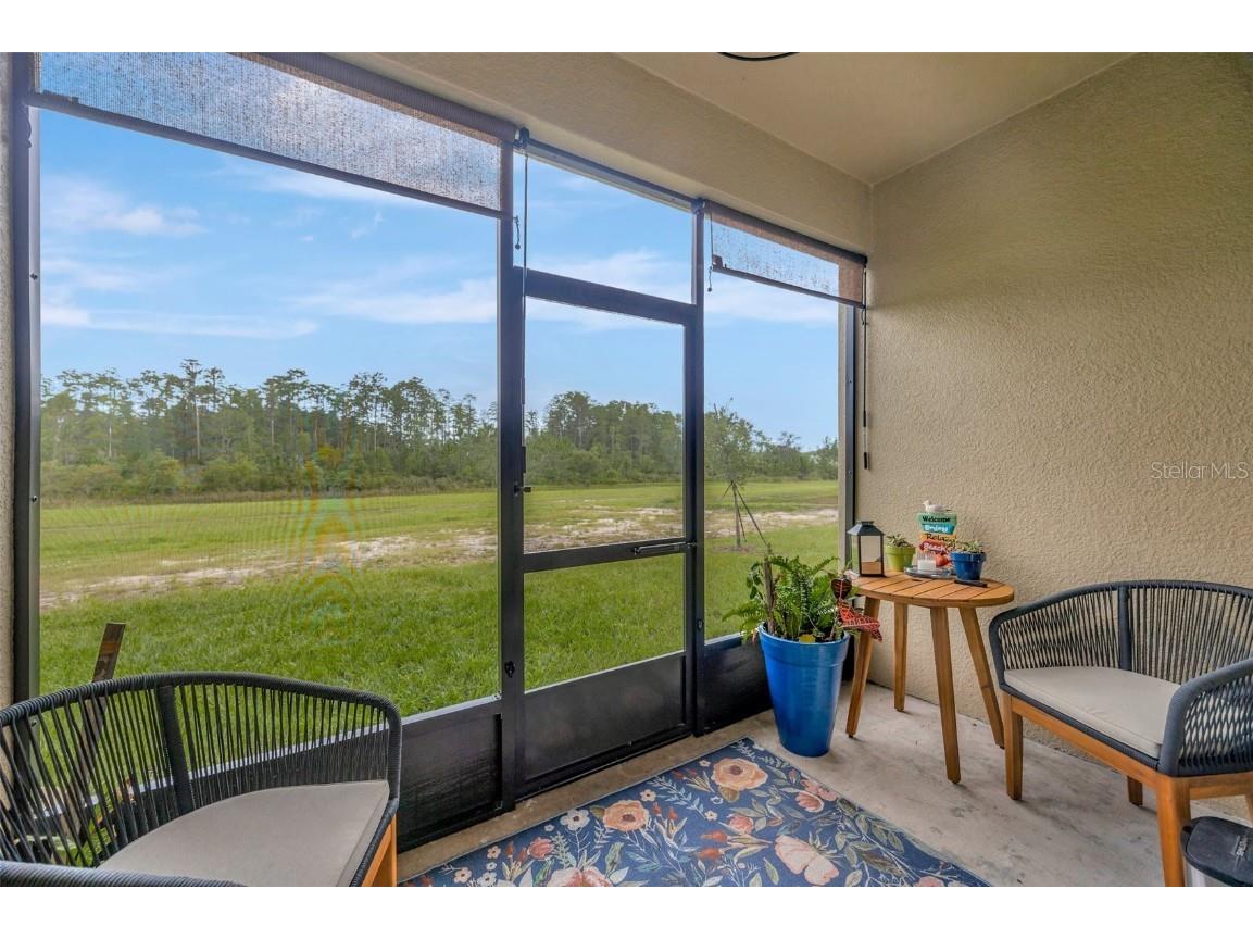 17741 Tawny Malt Place Land O Lakes FL 34638 TB8402565 image42