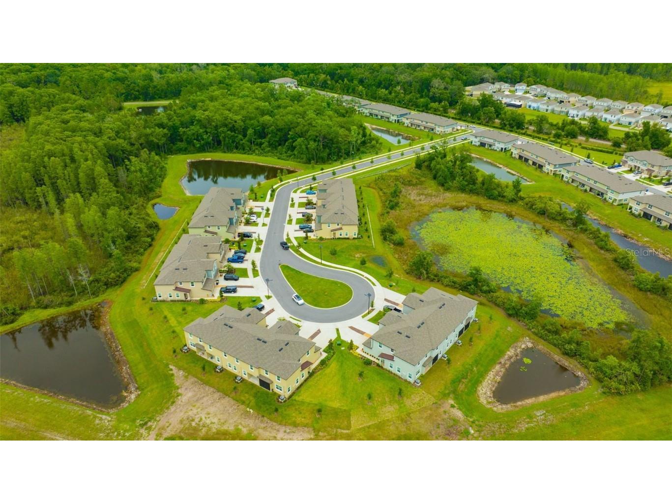 17741 Tawny Malt Place Land O Lakes FL 34638 TB8402565 image49