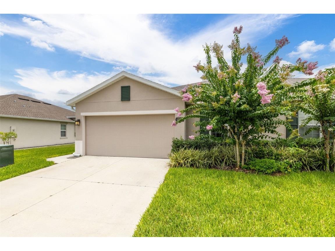 17742 Turning Leaf Circle Land O Lakes FL 34638 TB8408008 image1